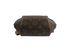 Ellipse Backpack, top view